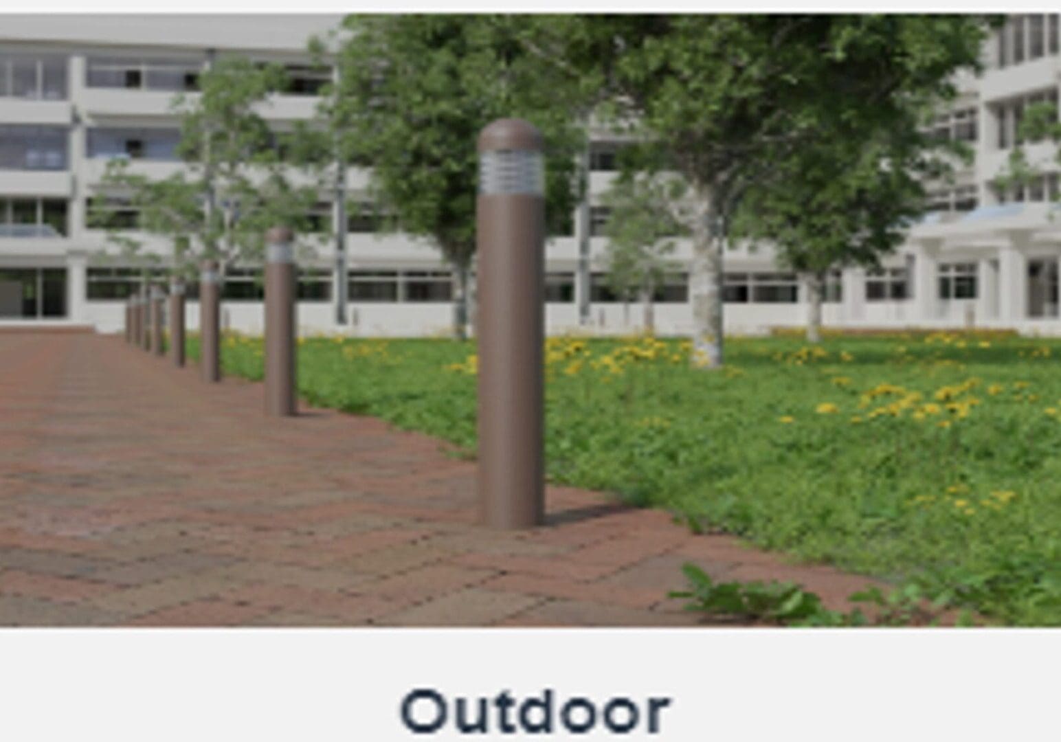 A picture of an outdoor area with trees and bushes.